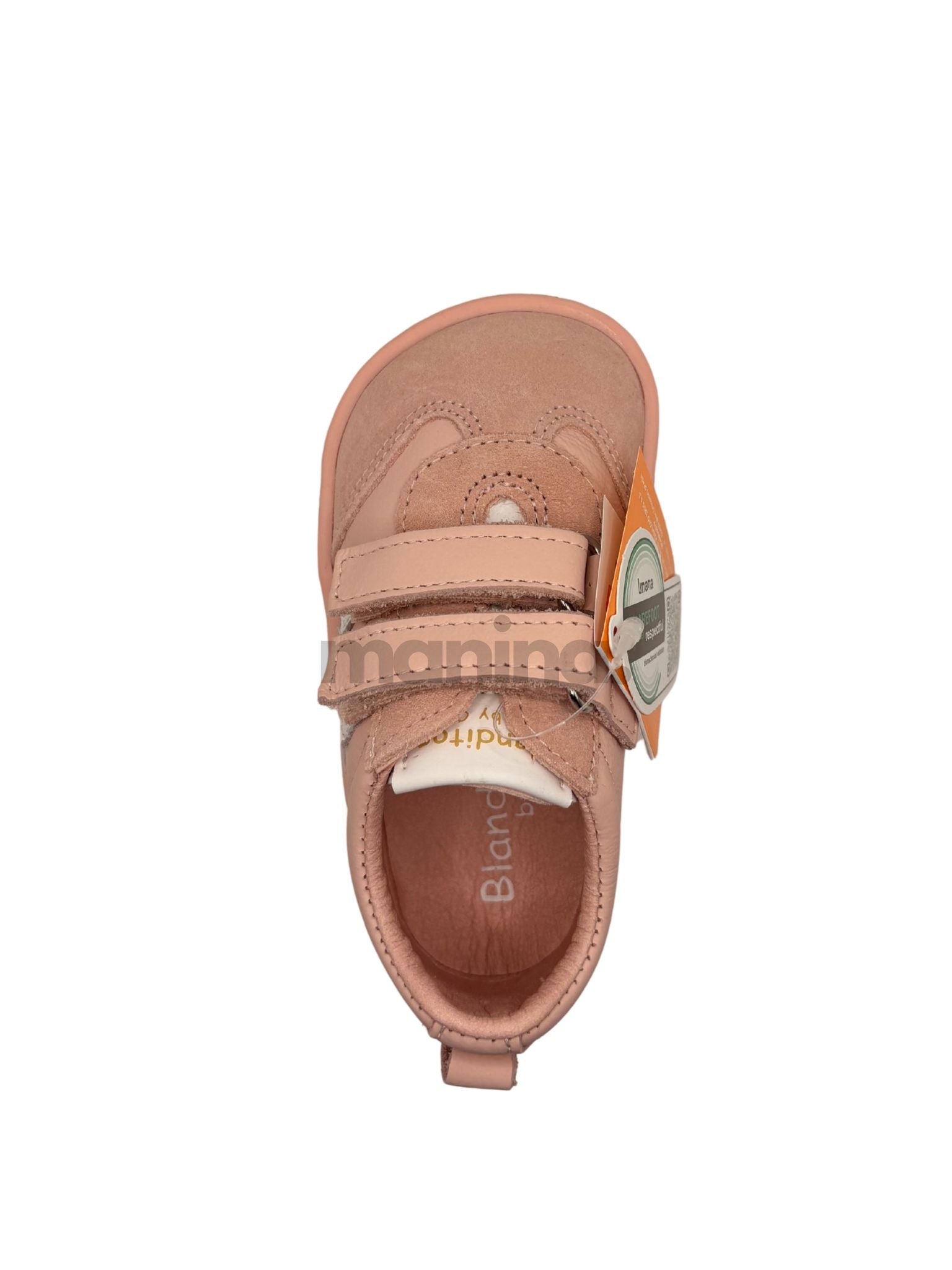 BLANDITOS LISBOA ROSA